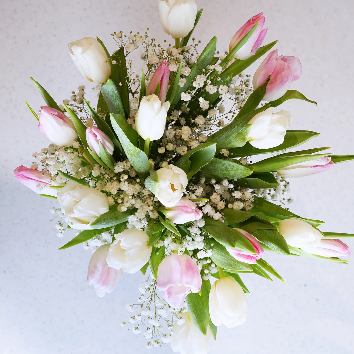 Valentine Pink and White Tulip Delight