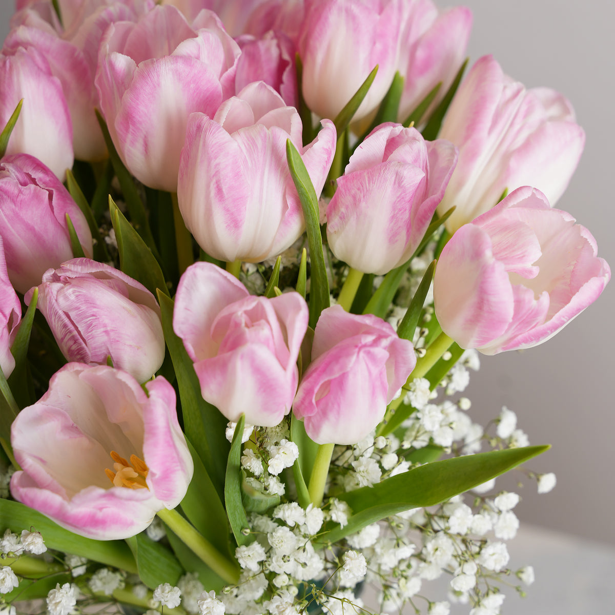Pink Tulip Delight with Free Chocolates