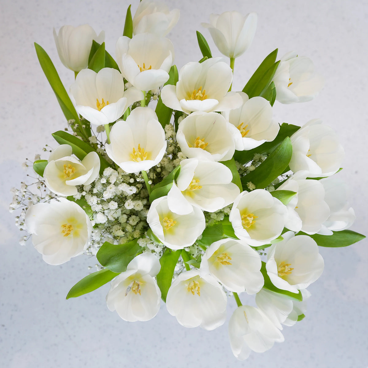 Valentine White Tulip Delight