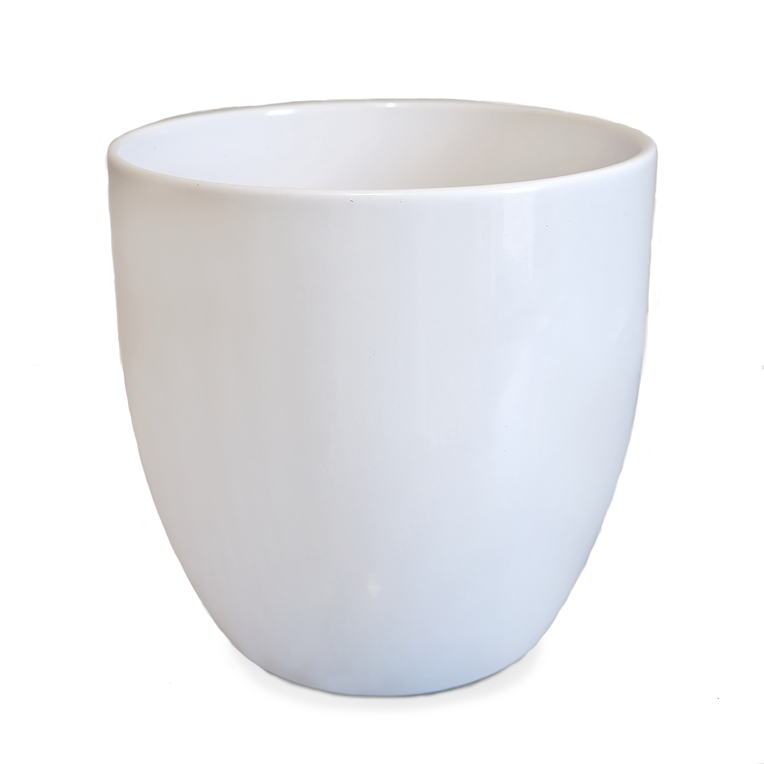 White Ceramic Plant Pot